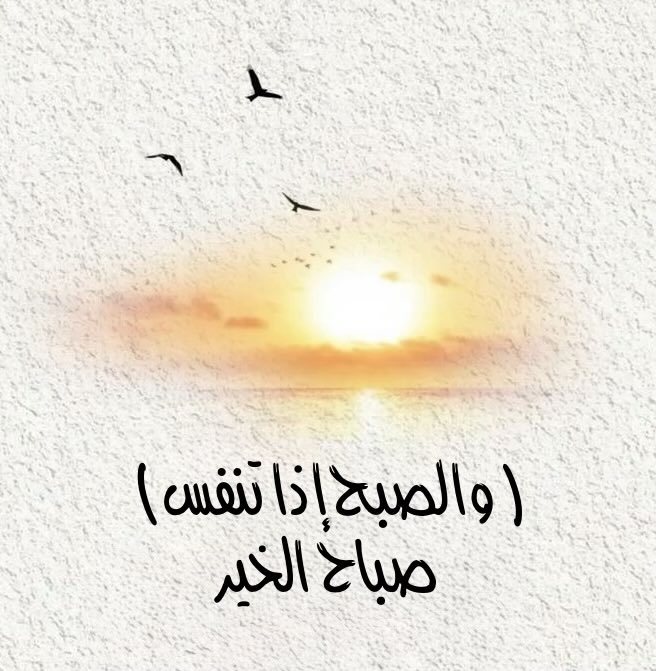 Shaimaa 75 tweet media