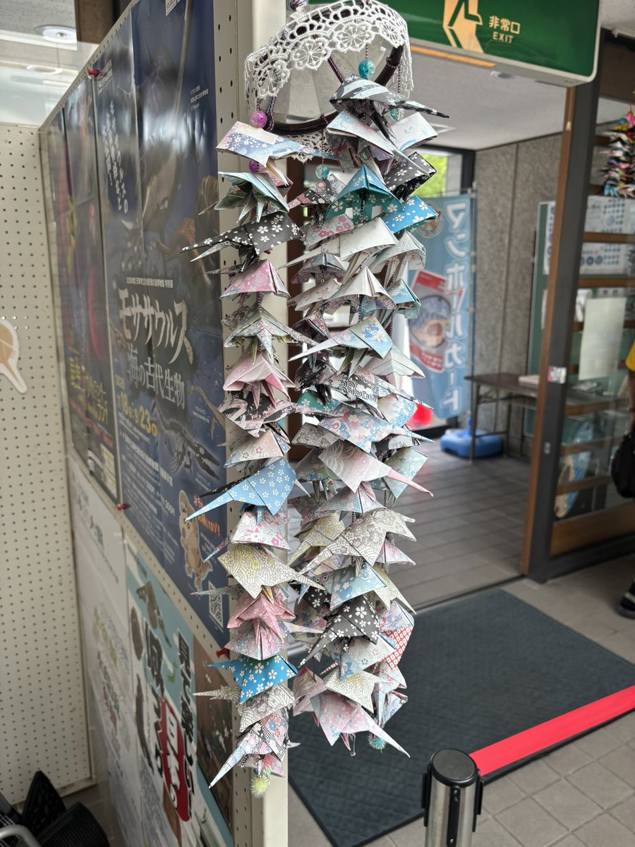 Syunta_P's tweet photo. 暮らしのなかのカブトガニ https://t.co/kDCKovGF0t