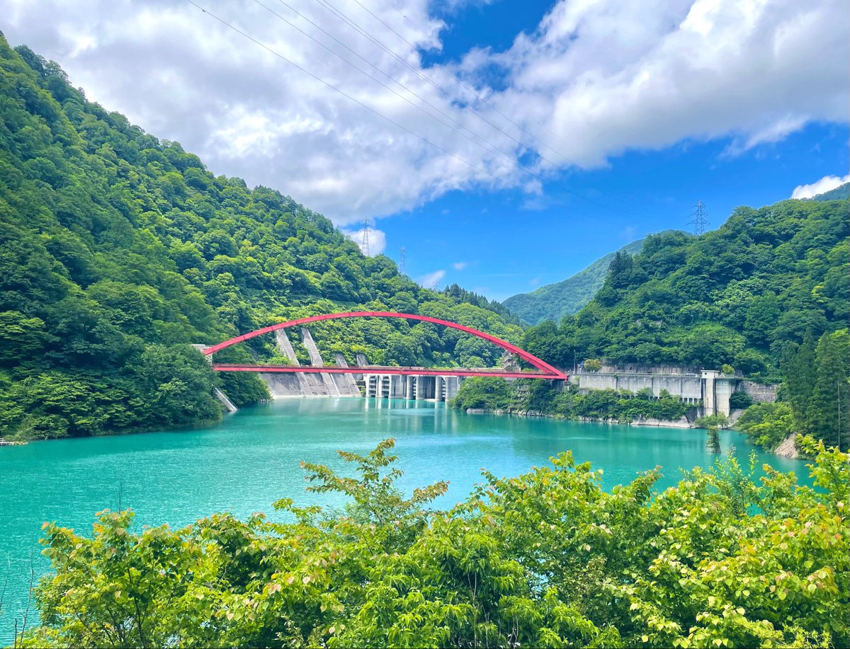 aoringo1858's tweet photo. 大自然に癒されたぁ☘️🦜🌻
暑かったけどいいお湯でした♨️🫧
お肌ツルツル🤗💓 https://t.co/gTVbqFBlbu