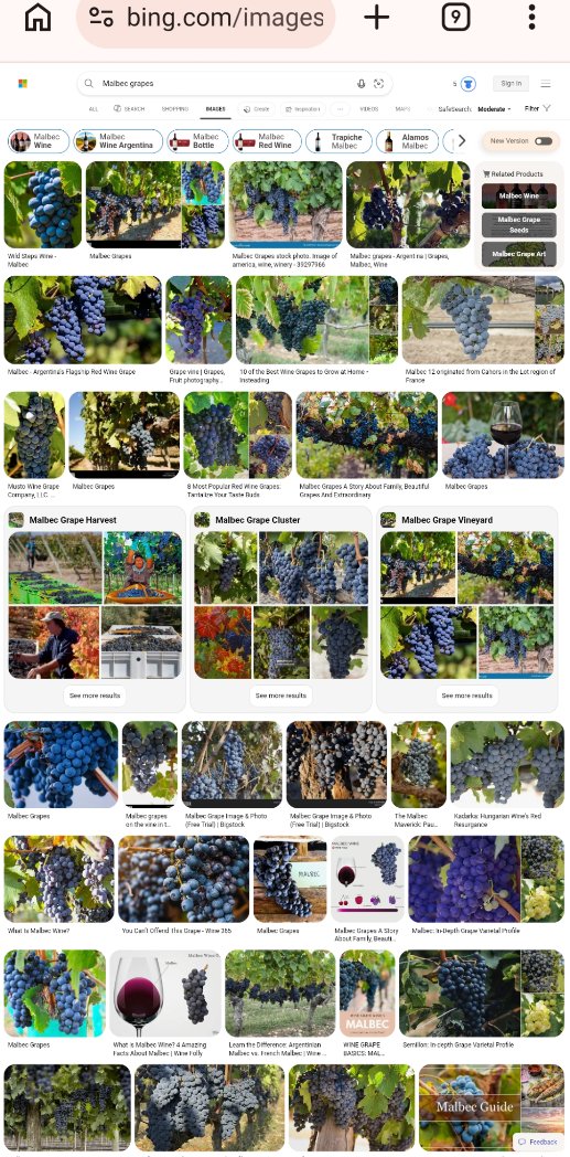 dontkillthelion's tweet photo. Want "M" : "Malbec" grapes &amp; whatever kind of transformations of those grapes  is nice (etc adjectives) https://t.co/qYDgzx20wR + https://t.co/H1a4Ehipc3 + https://t.co/2vmFtPWlRS + https://t.co/cHyVzYmXoy thank you also for the grape Venues ... https://t.co/dpQx9XH5gf