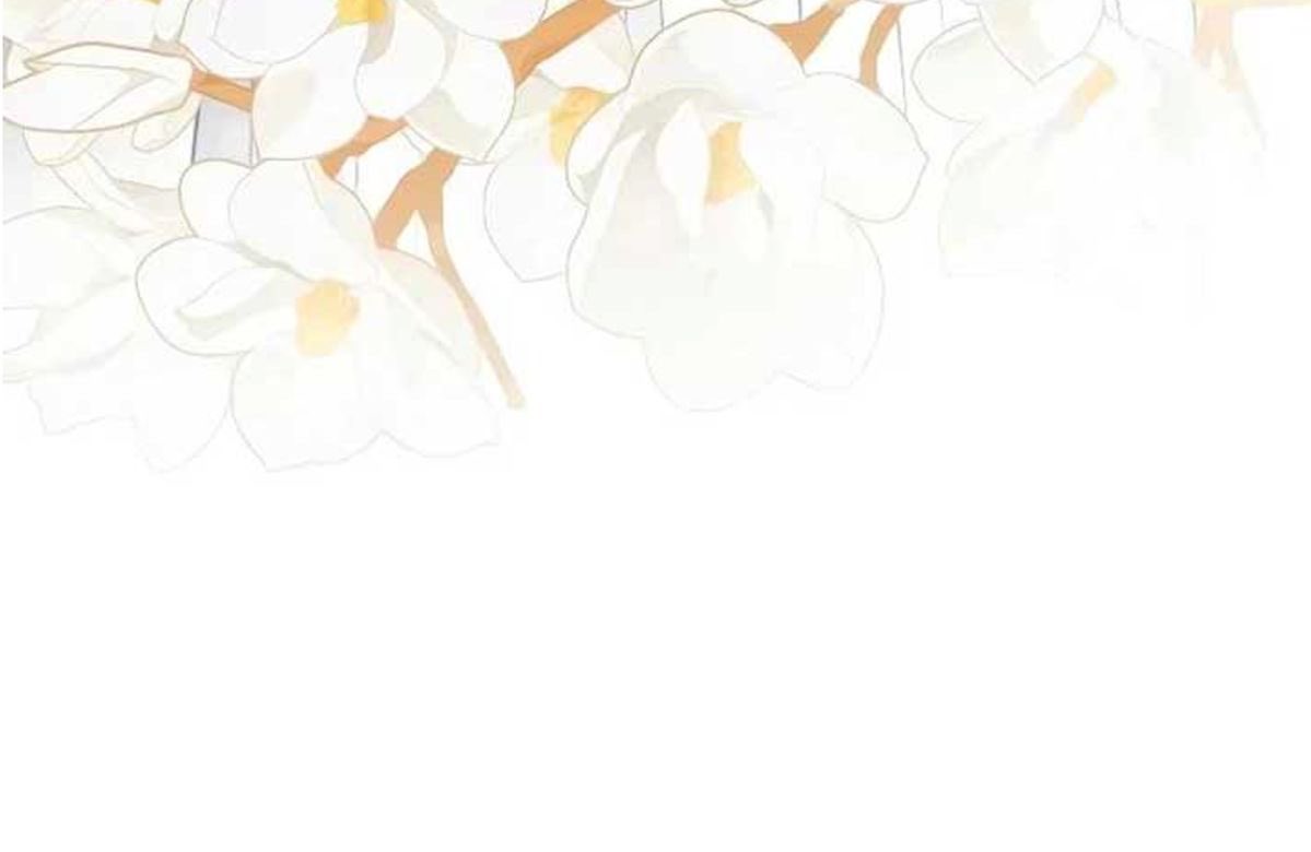 ﹒ 𖧧 𓏼 𝑓𝒾𝚗𝒏 ⌣ 🍰 . tweet media