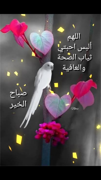 Mohammadalf2017's tweet photo. https://t.co/zlMSQzMa1Q