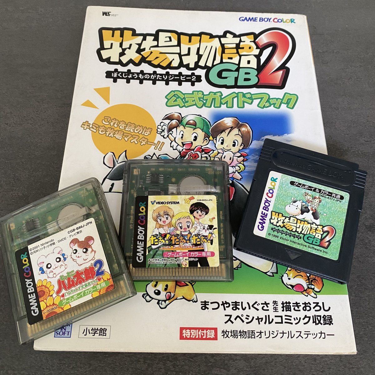 未使用品　非売品　ポスター　牧場物語GB2　ゲームボーイ　平山綾　1999年 牧場物語GB2イメージガールの平山綾ちゃん😆✨ ガイドブックで勉強させ