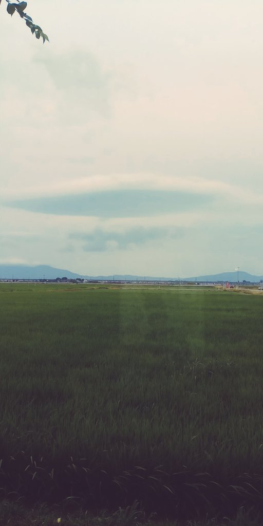 ushinocoffee's tweet photo. 雲がUFOみたい
本日も元気に営業開始！
珈琲屋が本気で作ったコーヒーゼリーがあります！４個！
本日お試しにつき600円で提供しまーす https://t.co/vwj3dX5rY7