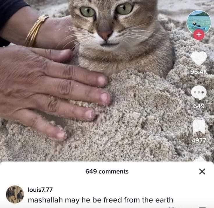 Framzit ( ◜‿◝ ) tweet media