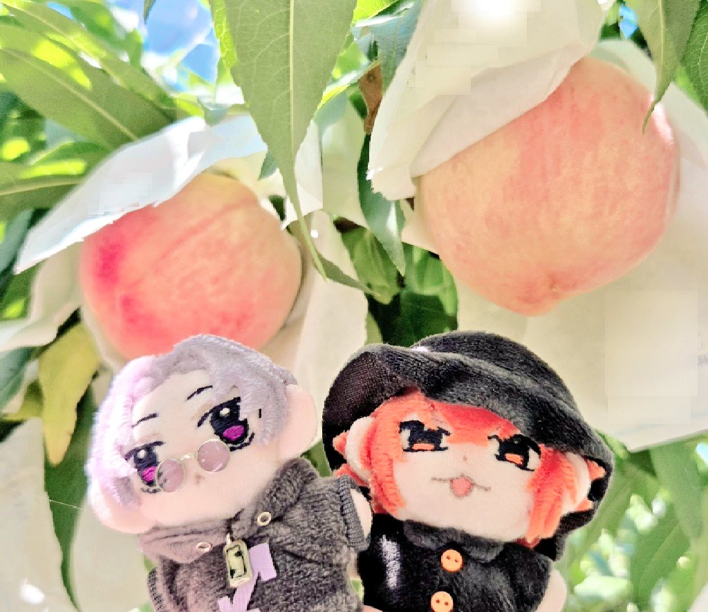 raaaaamyan's tweet photo. もも～ https://t.co/VvXHgruQzI