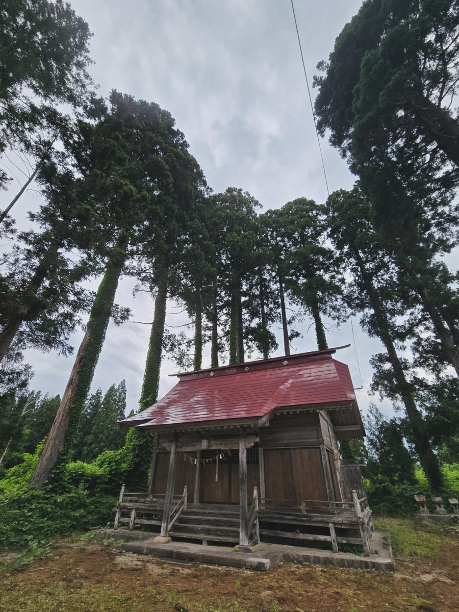 tibet_in's tweet photo. 阿賀町上川方面を走ると「高清水大カヤ0.5キロ」という看板があり行ってみたけど分からなかった。真っ直ぐ進むと名称不明の神社はあった。
#阿賀町
#上川 https://t.co/k5B93hR1bC