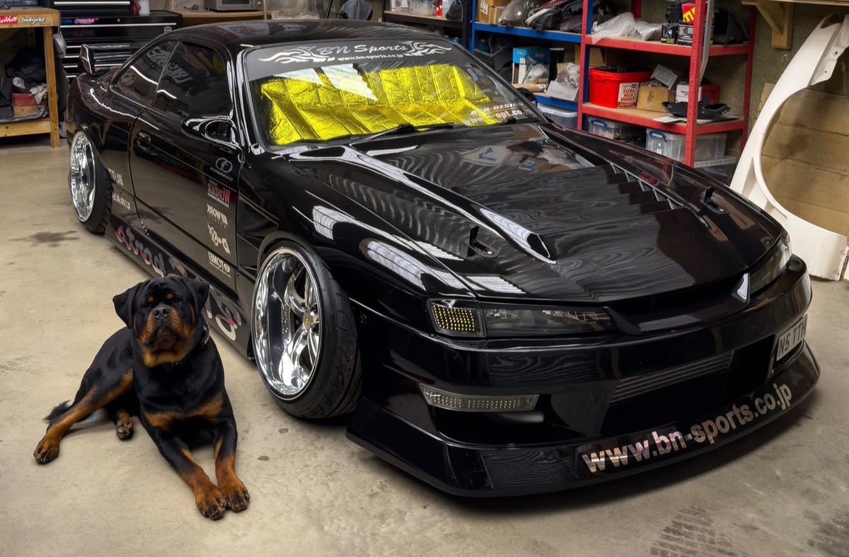 kingsofjdm's tweet photo. 🐾 https://t.co/70gfsaOHlt