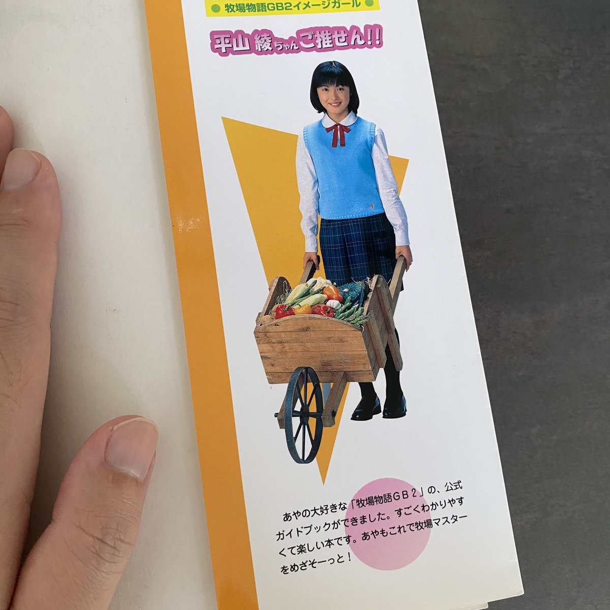 牧場物語GB2イメージガールの平山綾ちゃん😆✨ ガイドブックで勉強させ