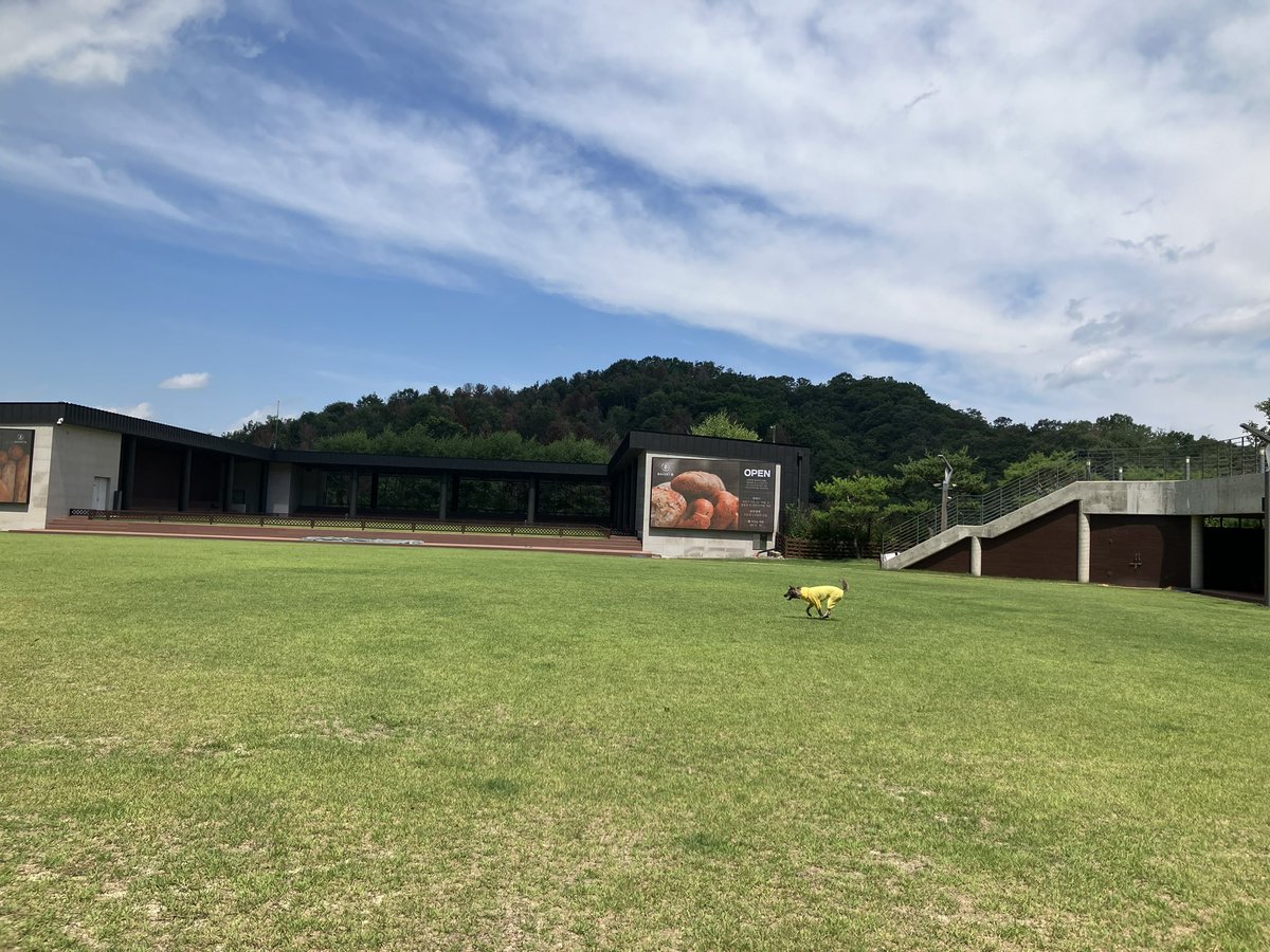 Cheese_120118's tweet photo. #바리바리유바리

유바리 춘천여행
강아지숲 넓고 좋은데 땡볕ㅠ https://t.co/lVKikQQzKJ