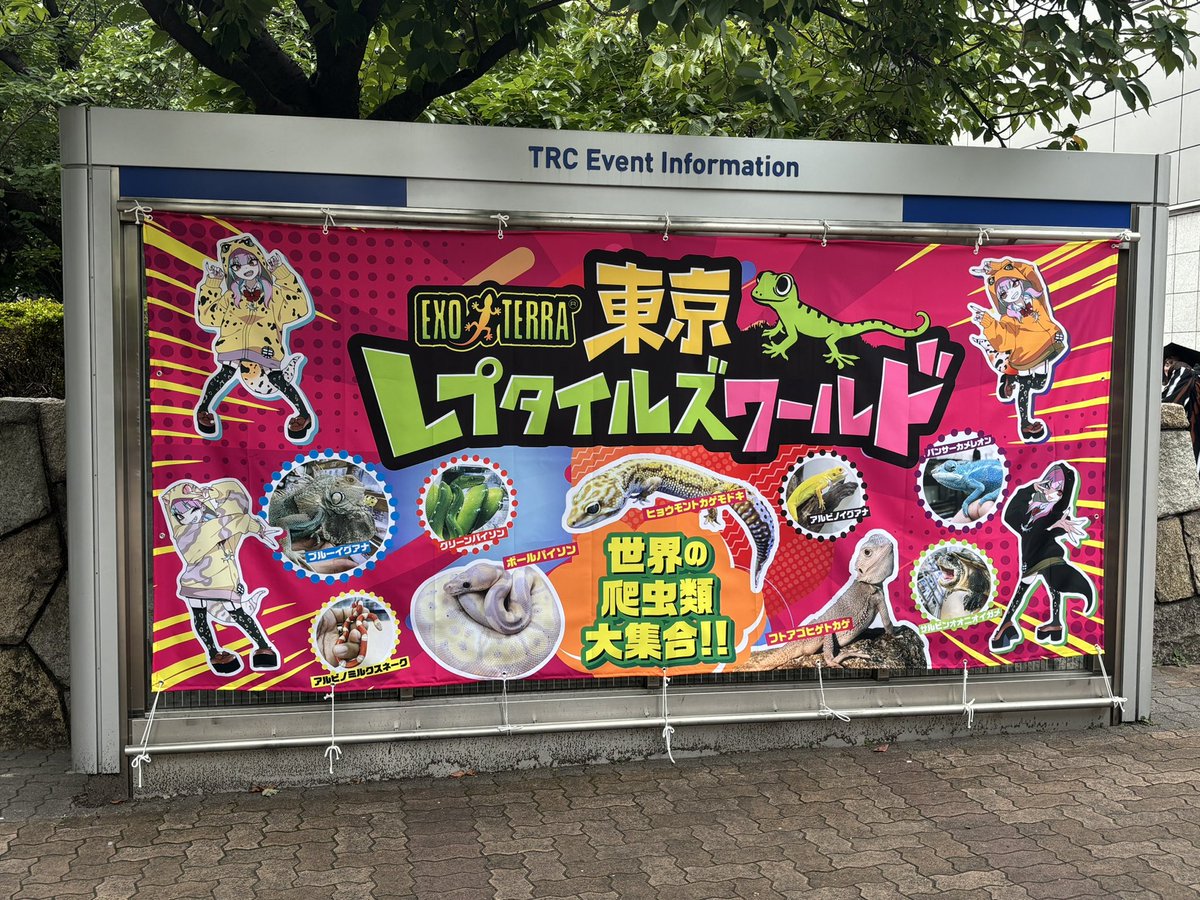 De_sney's tweet photo. 思ったより会場広いし思ったより人多くてすごい https://t.co/X208w4JlZV