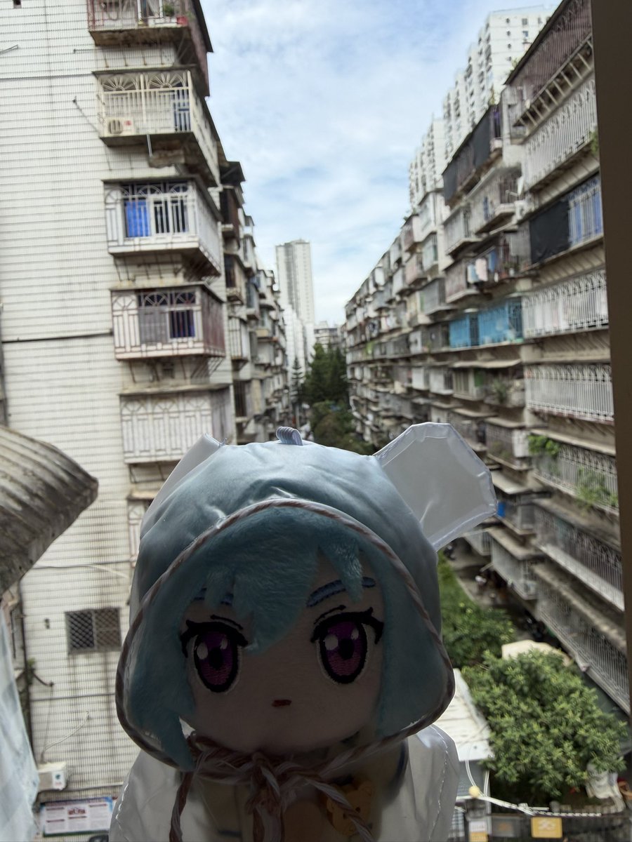 JinnoNagi's tweet photo. 「台風は去り、任務完了」 https://t.co/fLoLdcZiPM