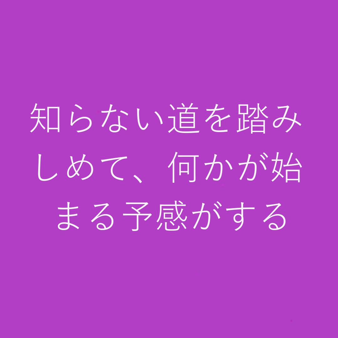 Ran_d_otle's tweet photo. 知らない道を踏みしめて、何かが始まる予感がする https://t.co/U4xjh0ZknU