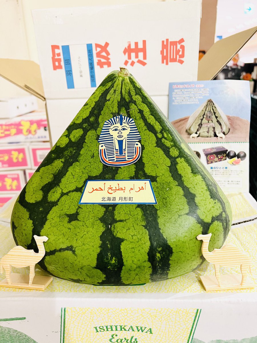 光 ~八百屋のお兄さん~ tweet media