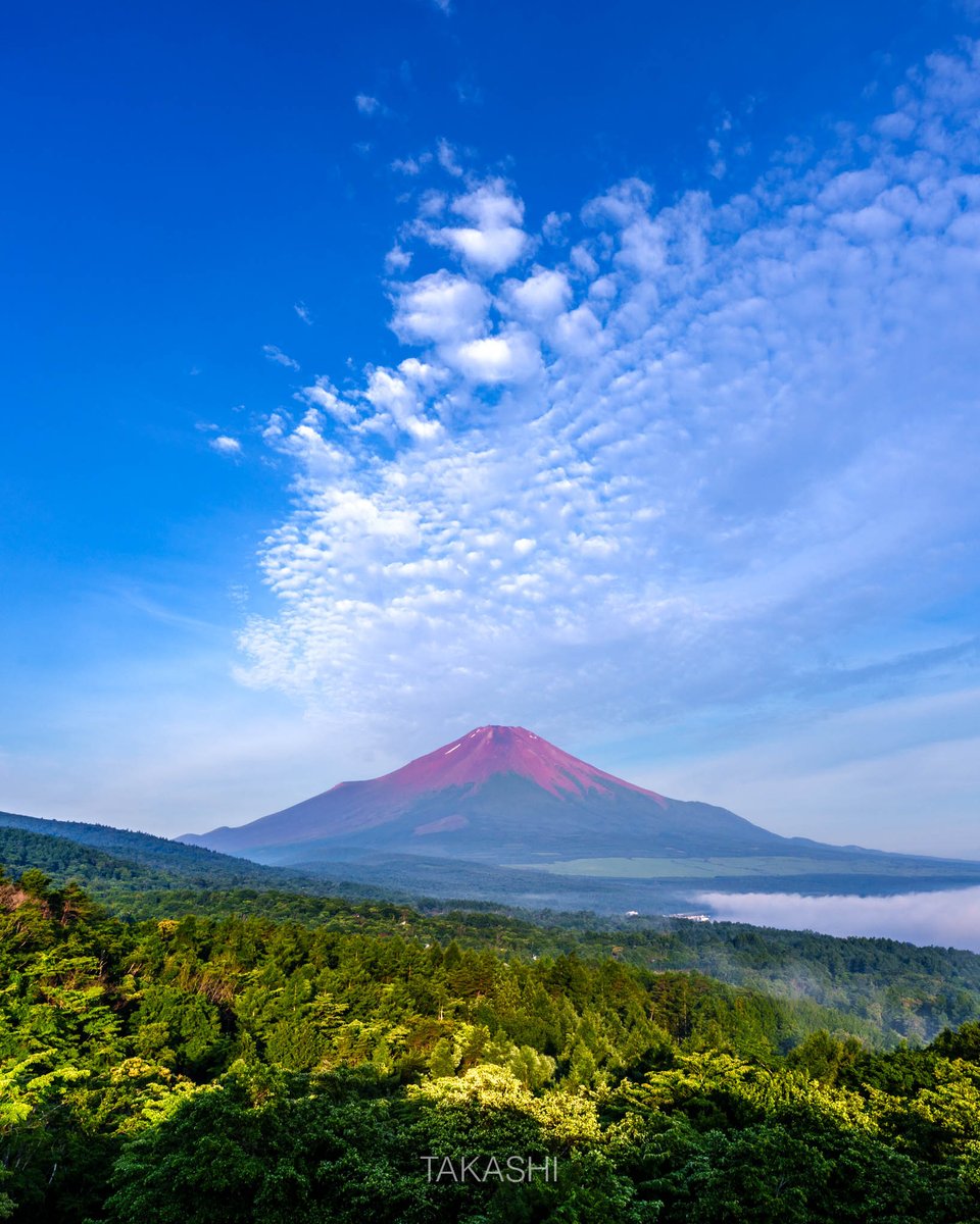 Takashi_LF's tweet photo. 🗻
山中湖明神山パノラマ台、朝

Morning at the Lake Yamanaka Myojinyama Panorama Observation Deck. https://t.co/DX1wy4Jqc1