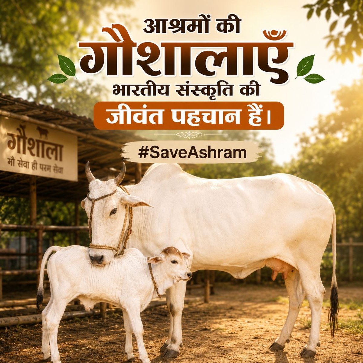 HariommSahoo's tweet photo. @makarandmsgs मोटेरा आश्रम केवल एक स्थान नहीं, बल्कि सेवा, संस्कार और गौमाता के संरक्षण का केंद्र है। यहाँ बूचड़खानों से बचाई गई गायों को आश्रय देकर मानवता का परिचय दिया जाता है। आइए Gau Raksha के इस प्रयास को समझें और समर्थन दें #SaveAshram https://t.co/rraJLZo5Ly