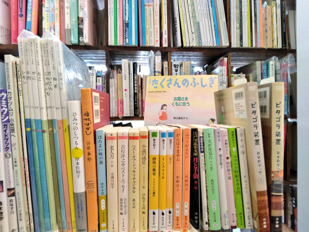 mahiruzousen's tweet photo. 品出しヨシ！

本日棚に並んだ古本です。後藤明生、ウミウシ、雑誌『旬がまるごと』に特化した謎の仕入れをしてしまいました。 https://t.co/riYZP3T65C