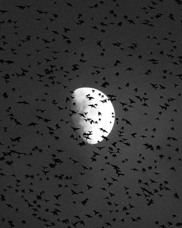 Dark. tweet media