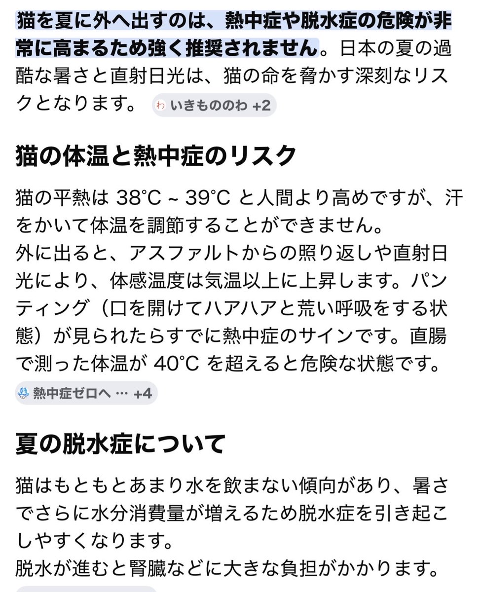 WxgQB4lrpY3CcCv's tweet photo. 蒸し暑い日曜日⛅️
モモ🐱との散歩は熱中症に注意⚠️
宅配業者の人、歩道を歩く外国人
強面のおにーさんにまで笑顔☺️で
「可愛い猫ちゃん🐈バイバイ」と
言われているモモ🐱💕
今日は「人間ドックの日」
健康管理は検尿と採血🩸で充分☝️
よく動いて良い食材を摂取する事が大切❣️ https://t.co/HVRF3edtat