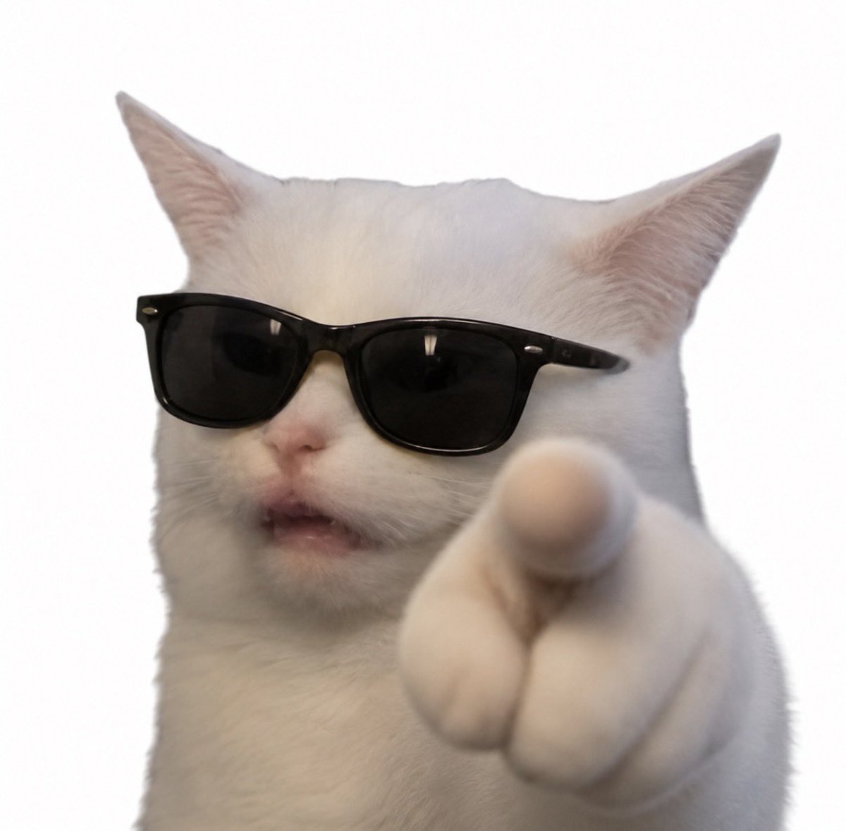 ACATS tweet media