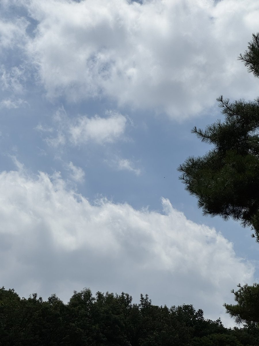 곽춘팔 tweet media
