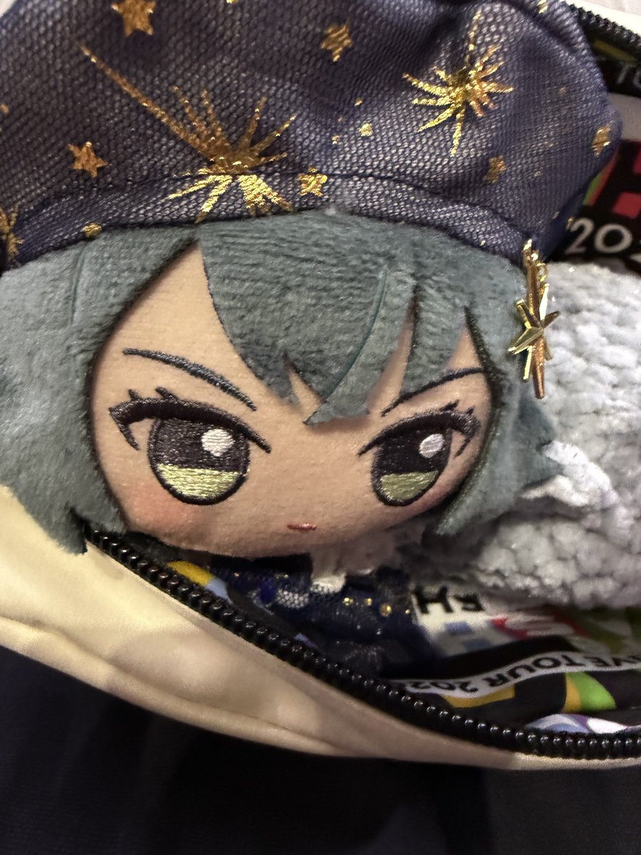 Rei_Arcv's tweet photo. てま達もいるよ☺️
#初星学園ぬいぬい部 https://t.co/VJNZ70A8zo