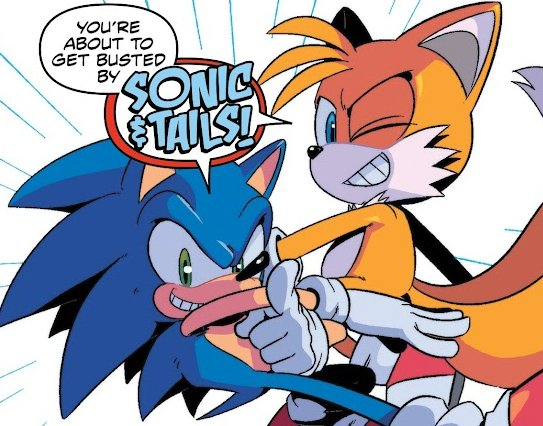 MelohRush's tweet photo. I love when Sonic and Tails do shit like this so much, like yes please show them doing dumb best friend shit more please https://t.co/bo68VenHSf