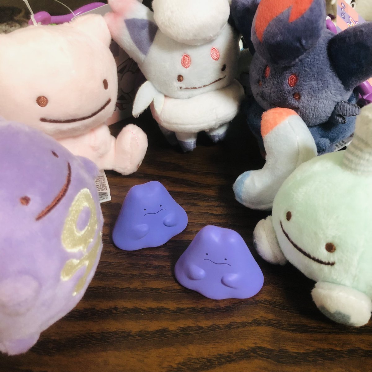 46inusiro's tweet photo. 昨日の戦利品
はあーかわいっ https://t.co/hwBGWLtNbT