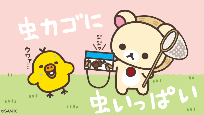 rilakkuma_gyr's tweet photo. 虫取り大成功？

#虫カゴに虫いっぱい https://t.co/QHaRRdBzjC