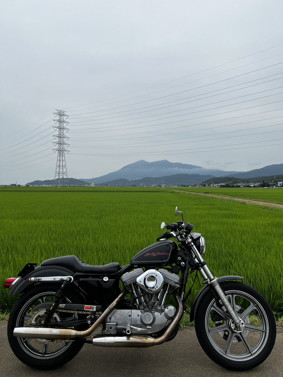 バイク好きと繋がりたい #XL883 #Sportster #筑波山 モヤッてる筑波山.•♬