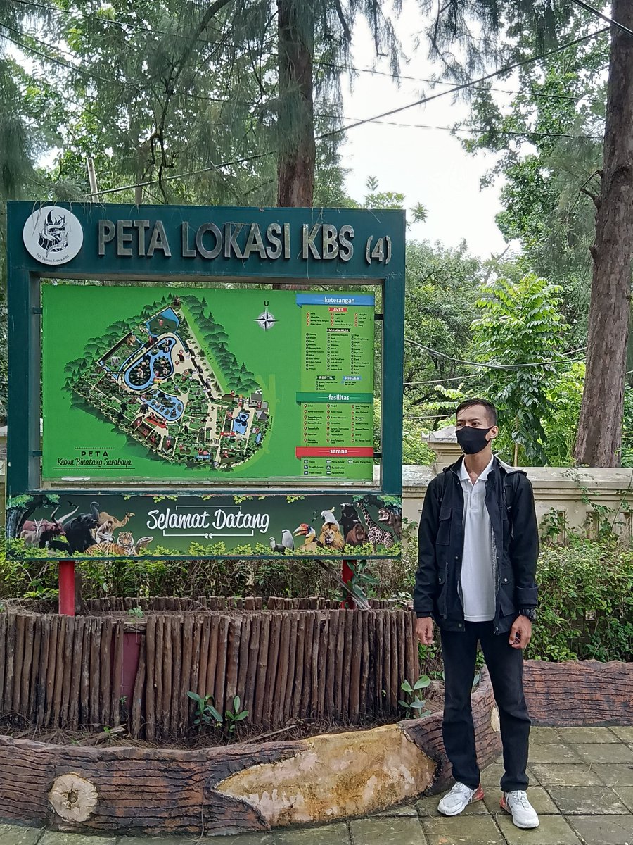 amunterra's tweet photo. Kalau ke Surabaya, jangan cuma ke Mall. Ada tempat yang selalu seru dikunjungi sejak dulu.

📍 Kebun Binatang, Surabaya https://t.co/kfPP5gxxLl