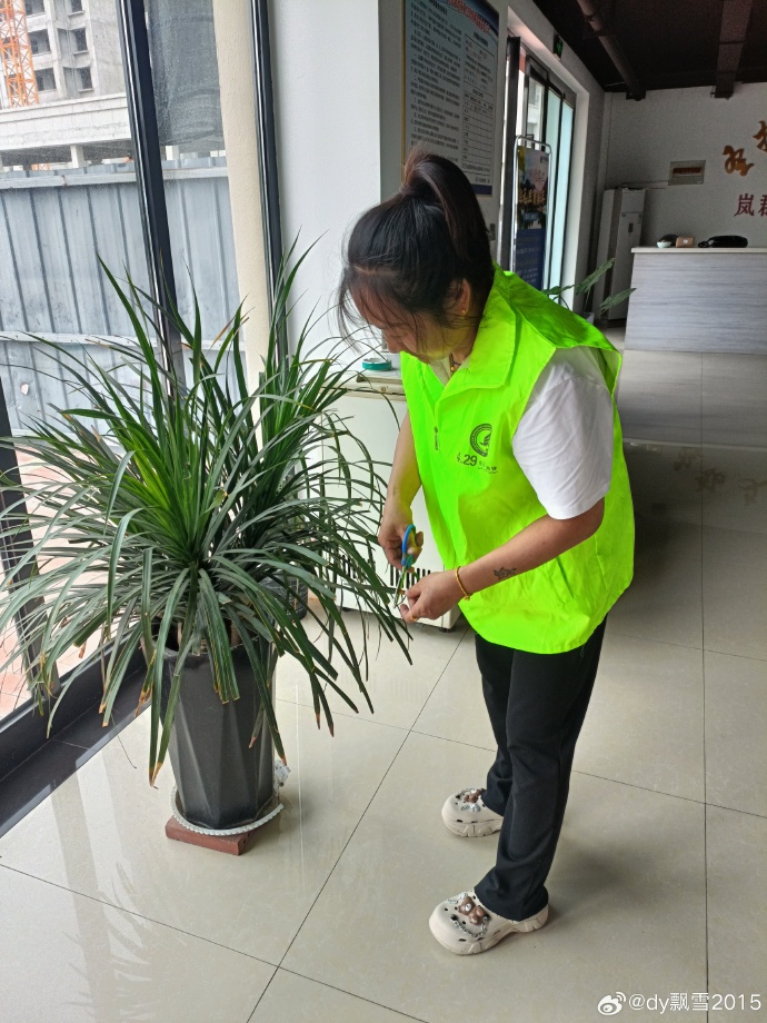 Moerrek's tweet photo. Join our neighborhood garden clean-up this Sat 9AM at Central Park! Gloves u0026 snacks provided—come make our green space shine together!， https://t.co/P2IPpjdV1n