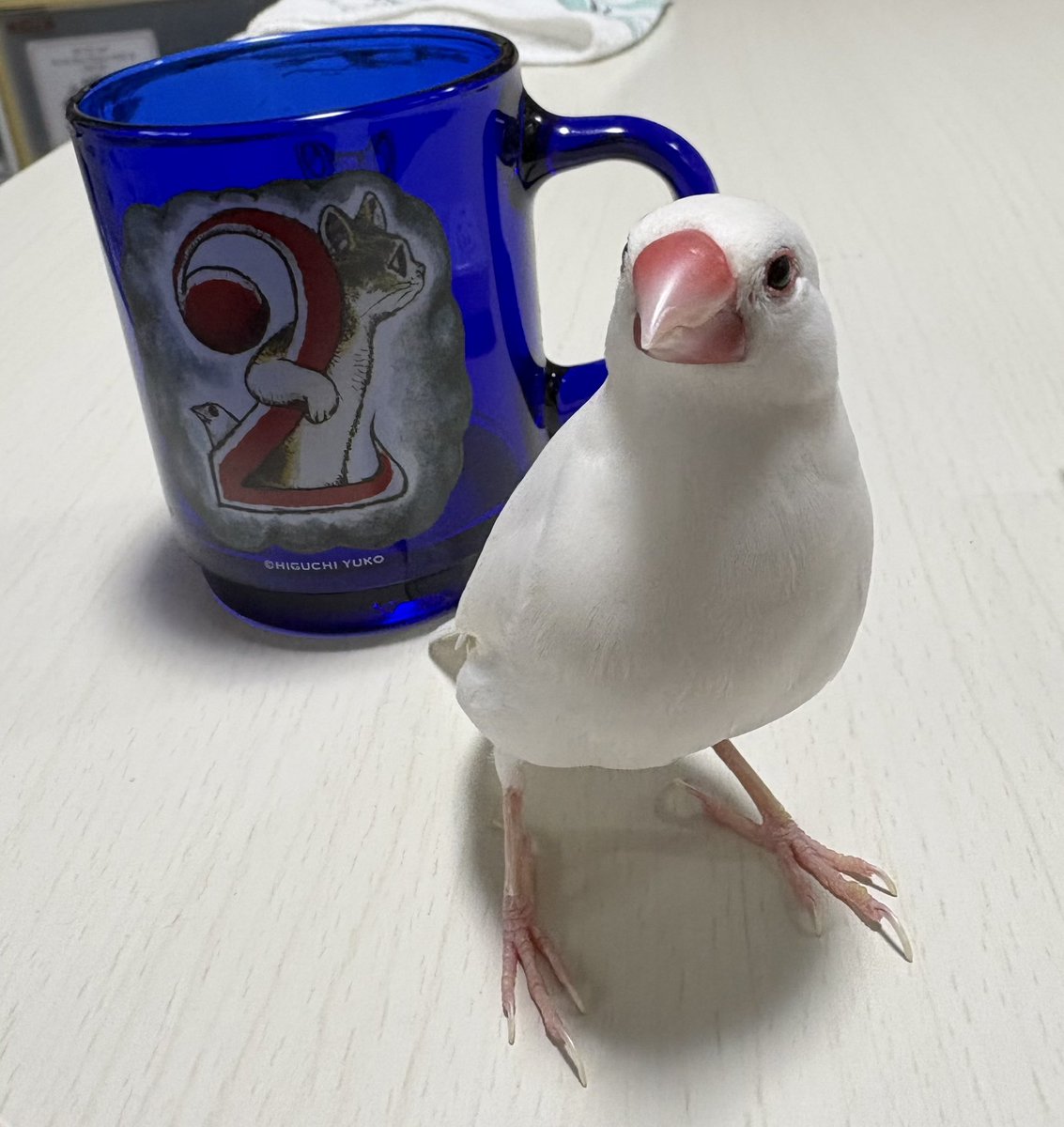 Yuko higuchi ヒグチユウコ (@nekonoboris) / Posts / X