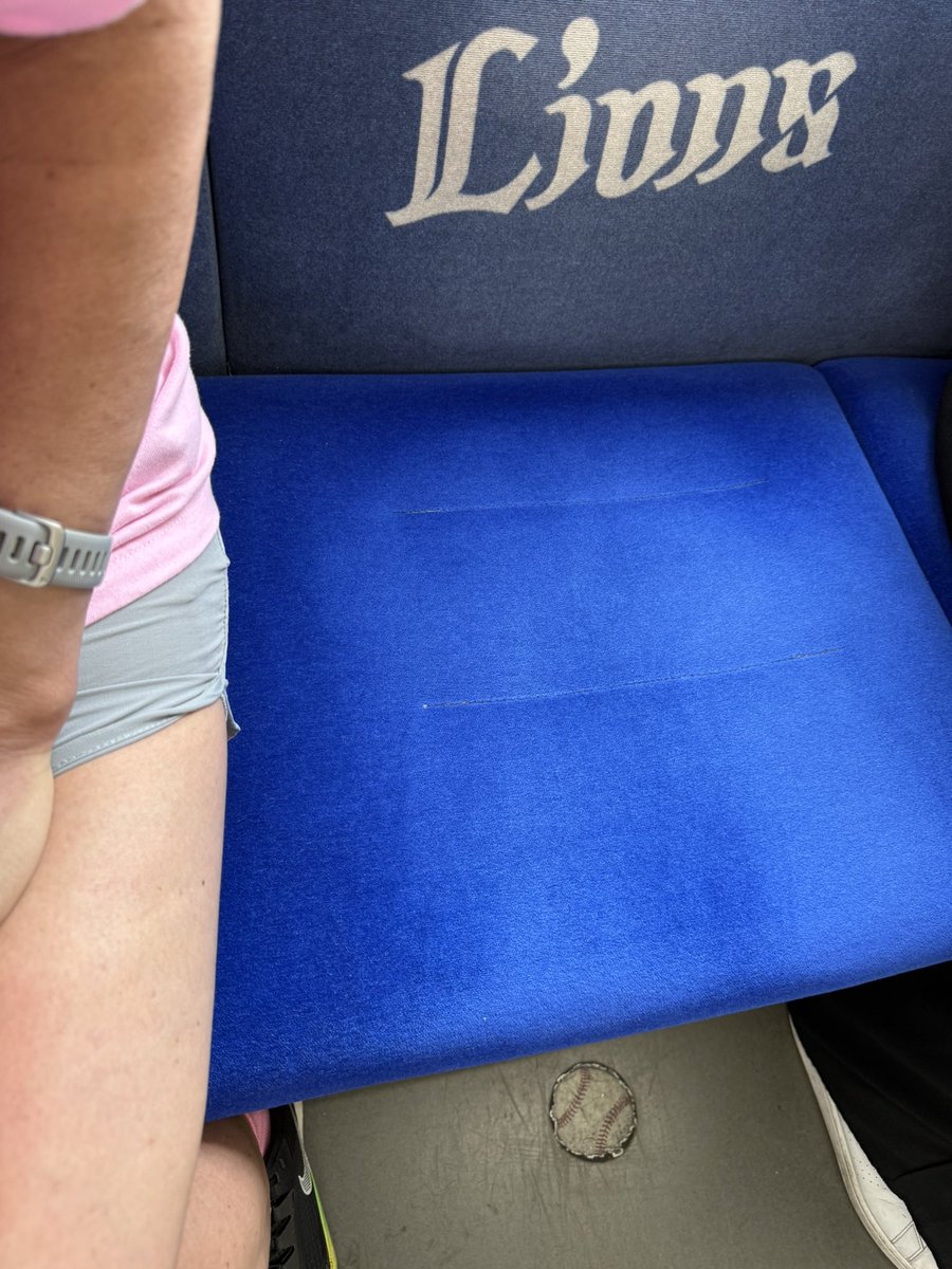 metalpine's tweet photo. 高田馬場駅から西武ライオンズ仕様の西武新宿線に乗ってるけども。
いくら「埼玉西武ライオンズ」を名乗っても、池袋・新宿方面からほぼ一本で球場に来れるのに、大宮・浦和あたりからはJRと西武線を何度か乗り継がないと来れないのは駄目だよな😓 https://t.co/v4Lamxufxf