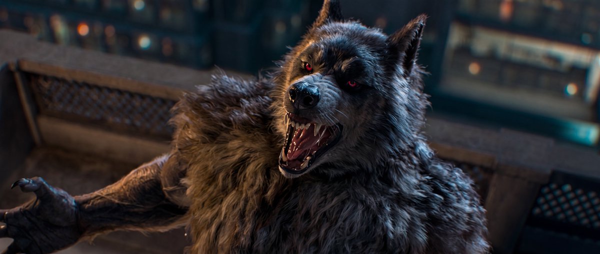 DogVanDog's tweet photo. Thamma (2025)
#werewolf https://t.co/U0pKuCG08k