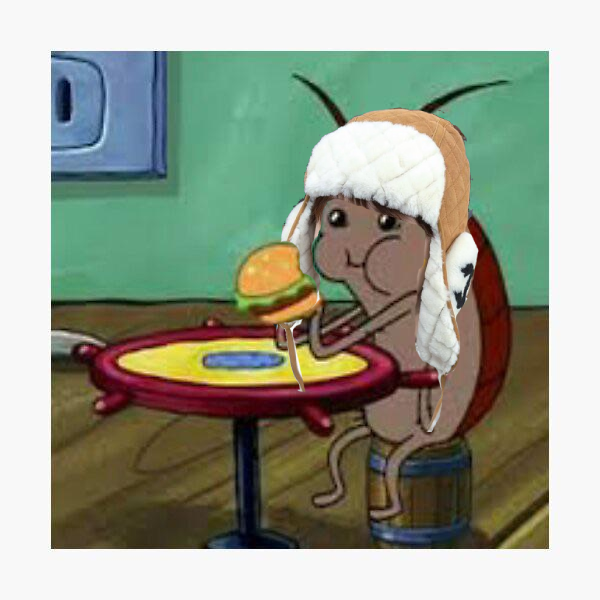 quickfoxlazyd0g's tweet photo. hi. do you want to know something fascinating? i'm a cockroach. if i don't tell you like this you might hit me or kill me. https://t.co/XS3nMCAmcb