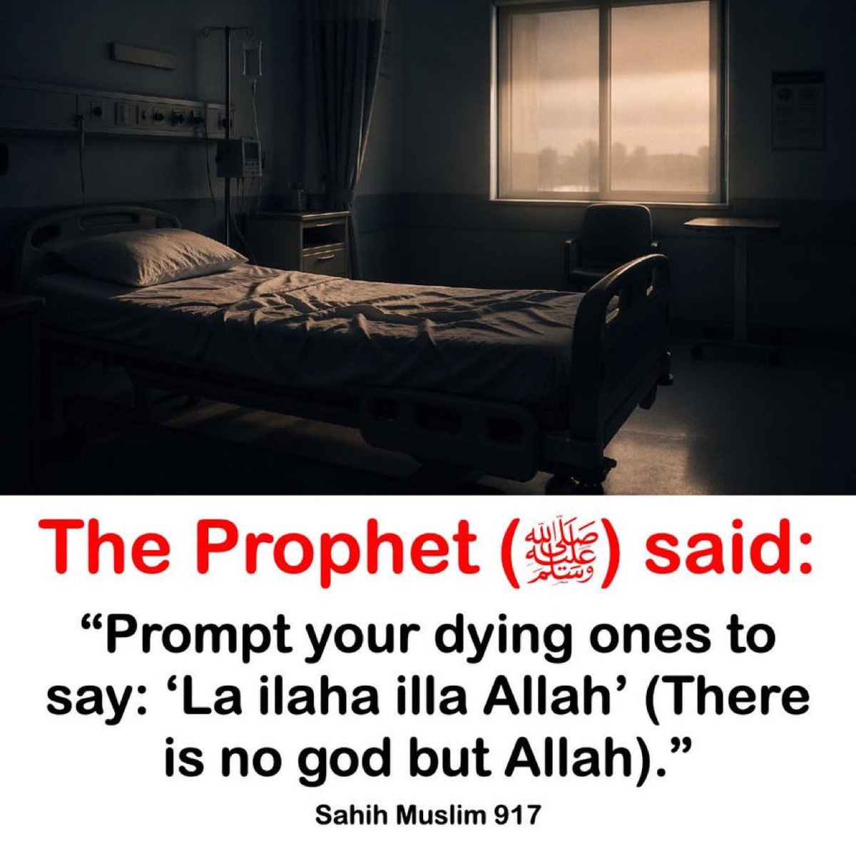 muktharmk1's tweet photo. Daily reminder. https://t.co/9DPi7XdejN