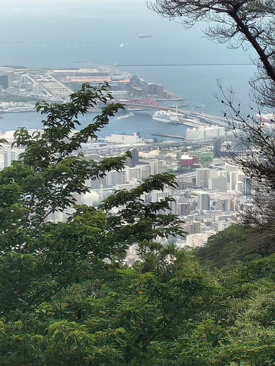 hiyamada0331's tweet photo. 17回目の #摩耶山🏕曇り晴れです。毎週雨で1ヶ月ぶりに来れました。やっば山はイイですね。今日は #MITSUIOCEANFUJI 3.2万トンが入港しています😊白くて綺麗な船ですね。昨日は古い友達と飲み会でした。元気やわぁ。
#掬星台 #摩耶花壇 #錦鯉 #旧摩耶観光ホテル https://t.co/cR8QYgwE6w