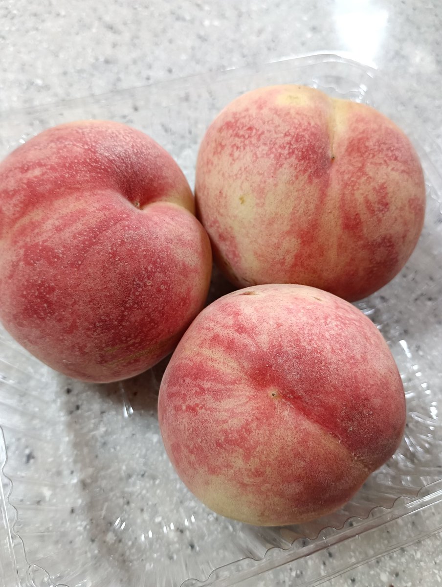 ren_chay's tweet photo. 初物

🍑リレー開幕
#暁星(ぎょうせい)
無人販売所で購入

付近には
🐻警戒？
🍑泥棒警戒？
🚓複数巡回中😞 https://t.co/UNmtQ0PcBX