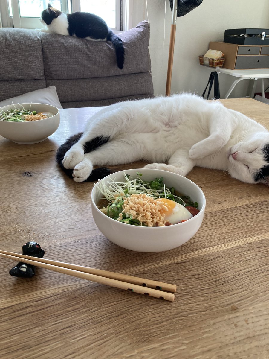 petbaka's tweet photo. 暑いのでお昼は具沢山の冷やしうどんを食べます https://t.co/u2ThgEo3WM