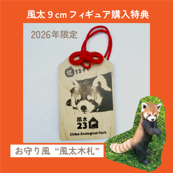 風太 風太23