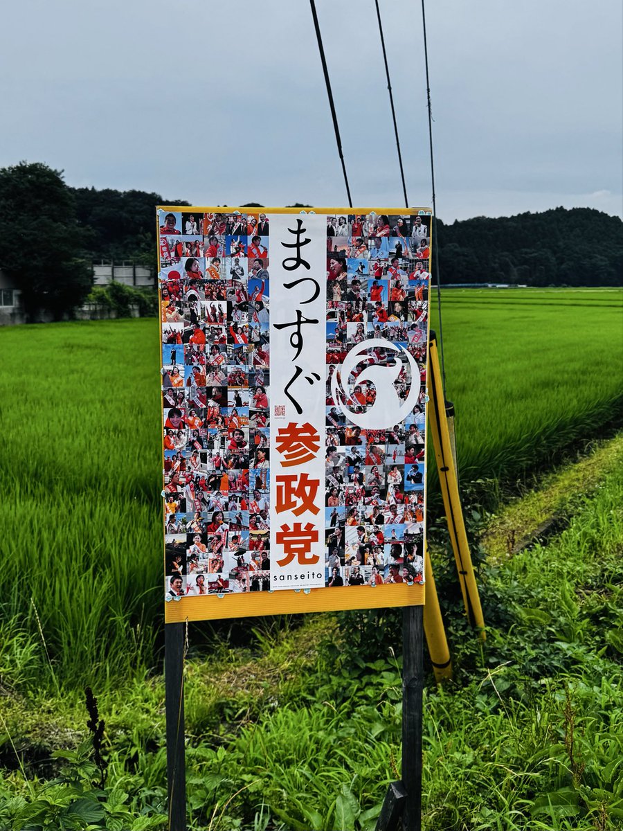 omori_noriaki's tweet photo. 只今、参政党ポスター貼り替え活動中です！15時から16時にかけて、ベルモールそばの交差点で辻立ち活動も行います！よろしくお願いいたします😊

#参政党 #大森紀明 https://t.co/bhzEH7dRn3