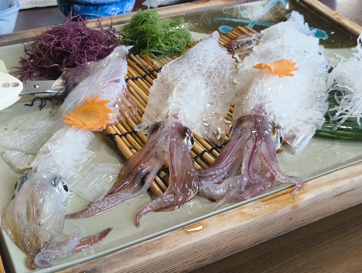 kick_san's tweet photo. 今日は唐津まで子どもたちとドライブでイカ🦑の活き造りを食べに🚗 https://t.co/zyH9FywVE7