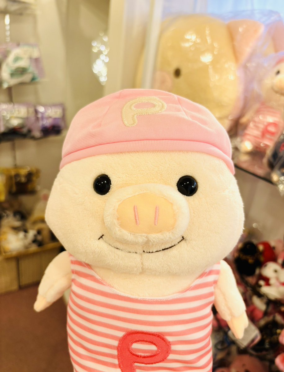 nipopoharajuku's tweet photo. ぷーとんの「水着」がMサイズのみ数量限定で再入荷いたしました👙
無くなり次第終了となりますので欲しい方はお早めに🩷

🏖️Open12:00〜18:00🏖️

ご来店お待ちしてます🐷

#ぷーとん #原宿nipopo #ぬいぐるみ #ぬい活 #ぬい服 https://t.co/Kr6eQclJQR