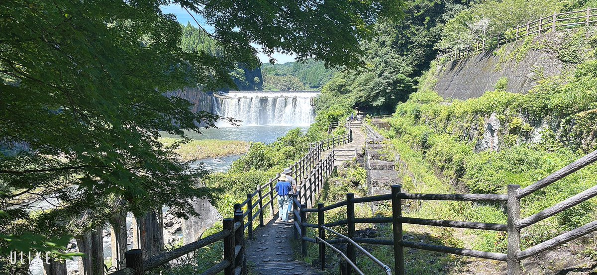 MMMiyako83's tweet photo. 夏が〰〰〰〰始まり散らかしている❣️❣️❣️盛夏の山野大冒険❣️❣️❣️ https://t.co/kHA5JwqLvV
