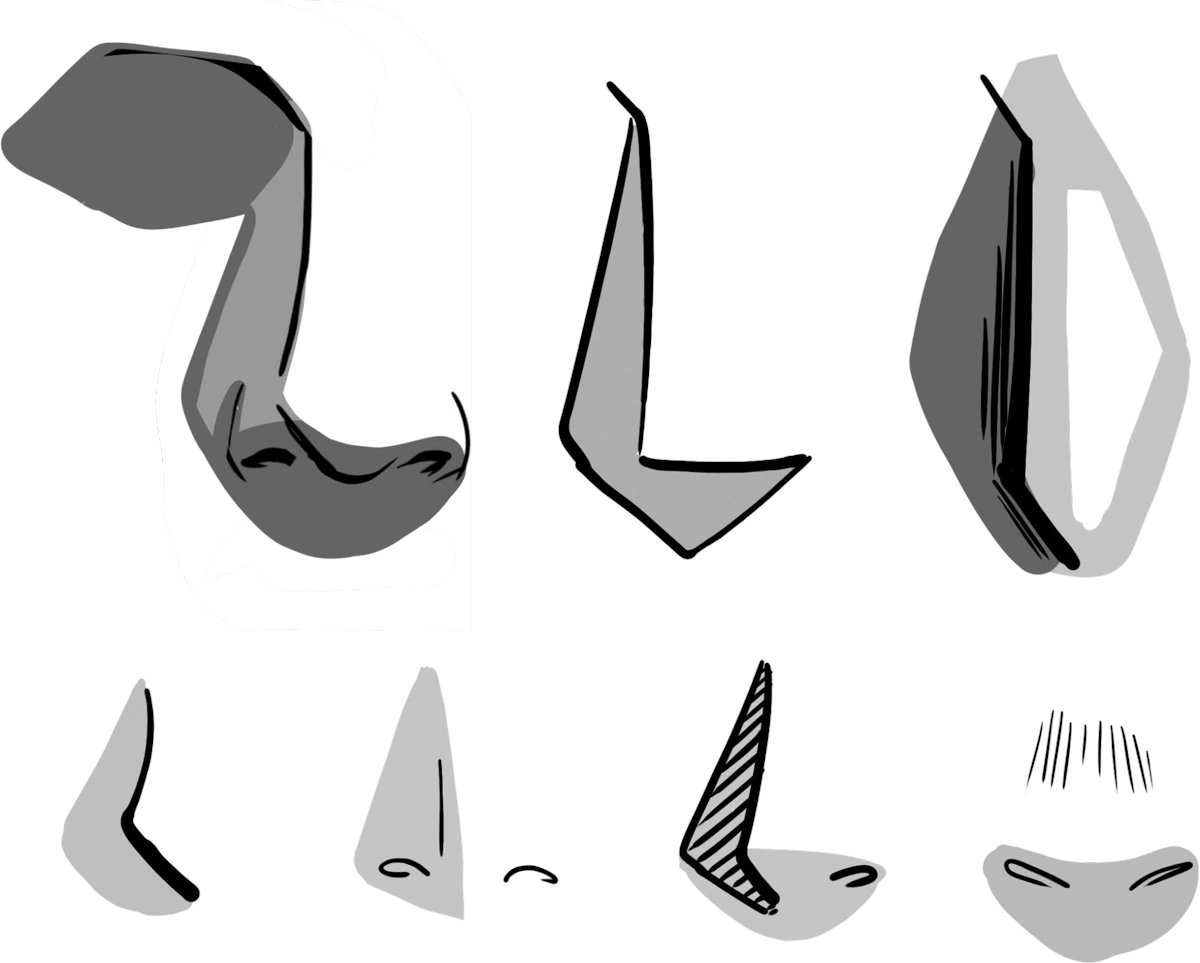pinkubeauty's tweet photo. Strong nose anatomy comes from mastering its underlying structure. https://t.co/n0zS1zDXxq