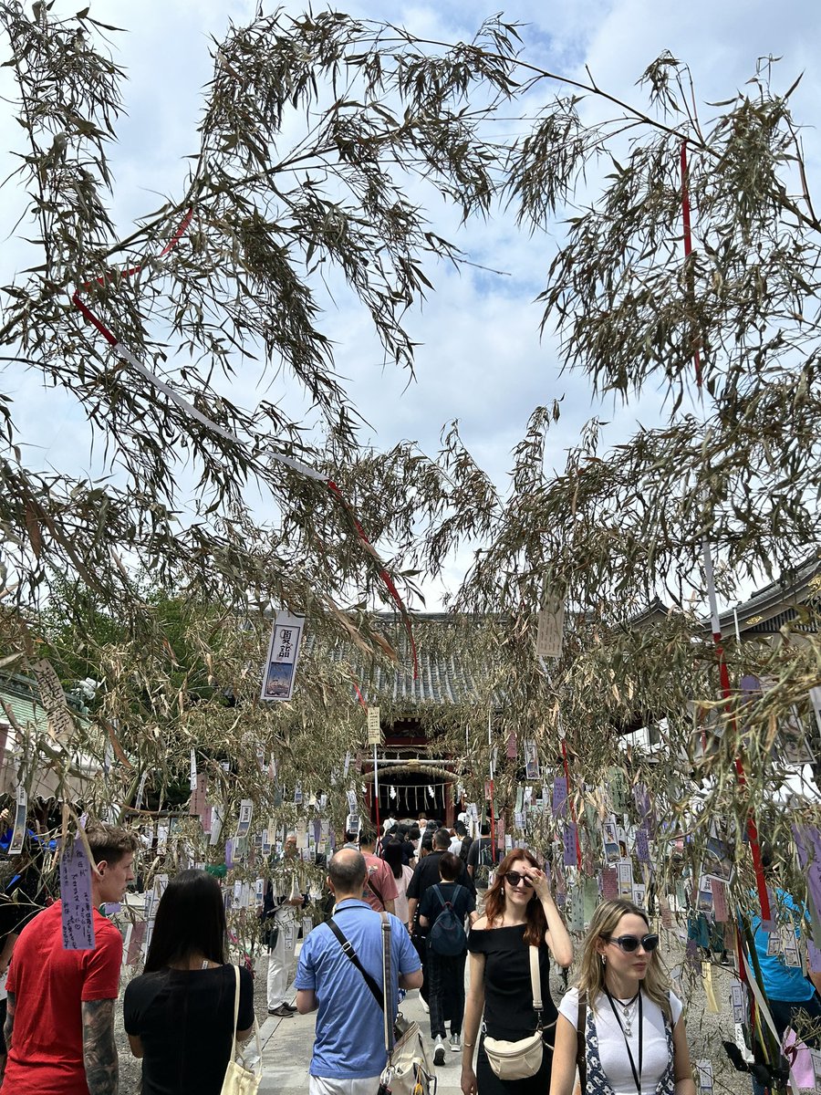 kozplanet's tweet photo. 浅草神社⛩️✨ https://t.co/lezPrU8uq5