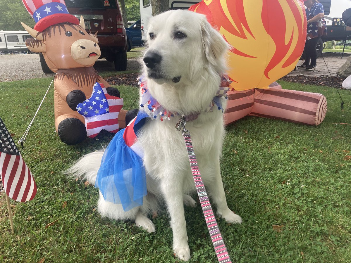 BrittAdams92's tweet photo. Happy Fourth of July! https://t.co/SyxIrZT0vc
