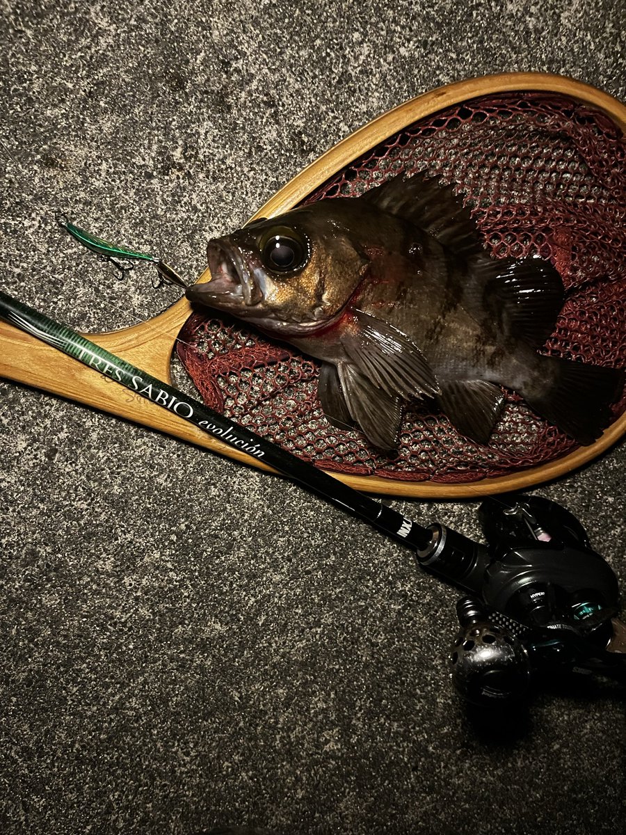 ba7boat29's tweet photo. 昨晩・今朝はタフコンディション。

魚が浮く・浮かないの判断、切り替えのタイミング、その際のルアーセレクト。
厳しい状況だからこそ勉強になる釣行でした。

#サビオ76
#ナッゾジグ
#SPM75 https://t.co/ynLuaOQeyt