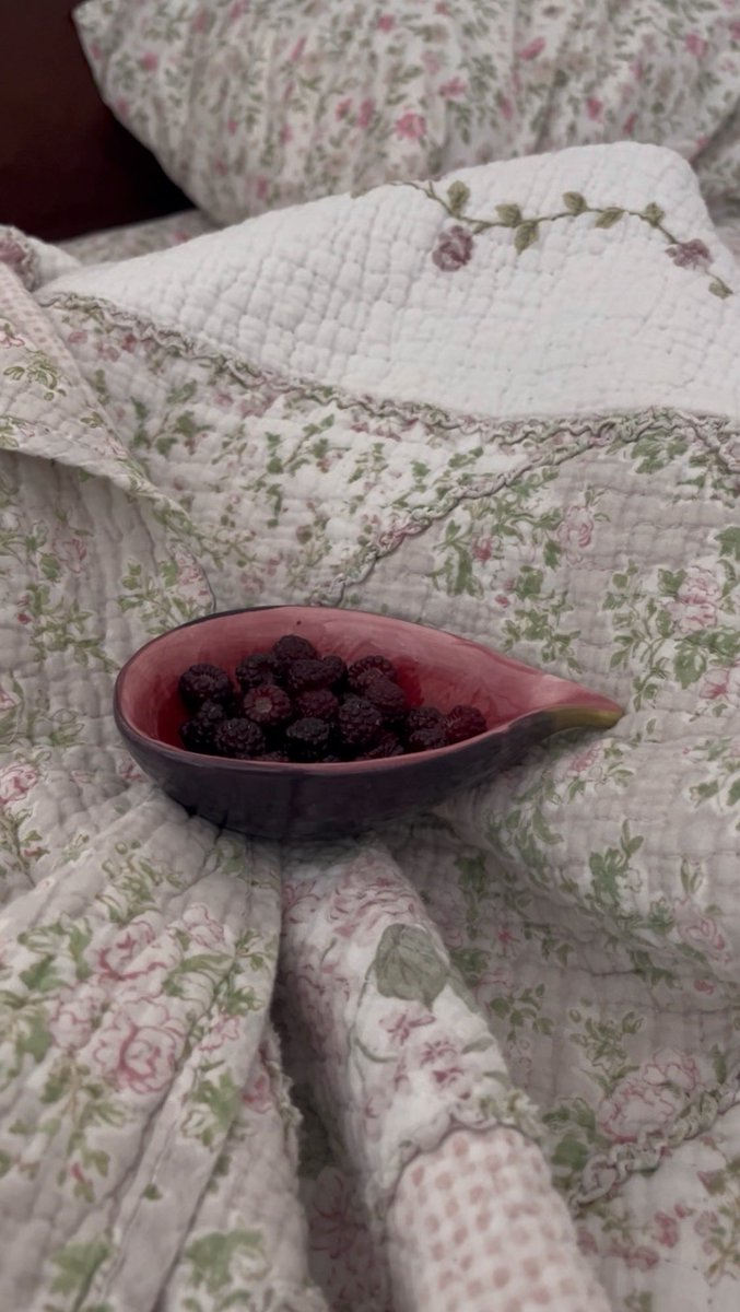 boraaaxxx's tweet photo. came home just in time for fresh picked berries from my garden 🍓🫐🍒🍇 https://t.co/HCeRHlz3No